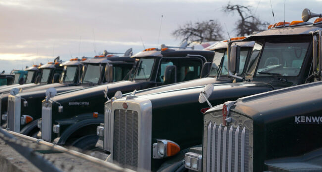 blogue-TMS-et-ERP,-un-duo-logiciel-gagnant